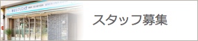 スタッフ募集ページへ